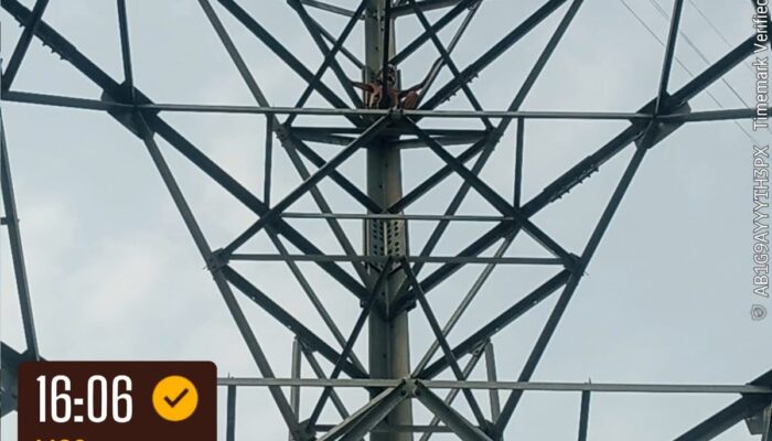 Polemik Tower SUTET T-24, Keluarga Parhusip Pertanyakan Dasar Pengadaan Tanah dan Jaminan Keselamatan