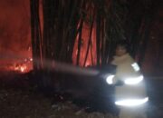Sehari Tiga Kebakaran Terjadi di Kabupaten Malang, Api Lahap Lahan Tebu hingga Bambu