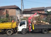 Jalur Maut Pohon Tumbang Diantisipasi, 10 Pohon Rawan Kendalpayak Dipangkas