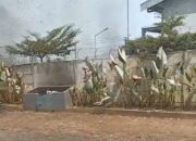 Lahan Kosong 10 Hektare di Jabung Terbakar, Damkar Kabupaten Malang Bergerak Cepat