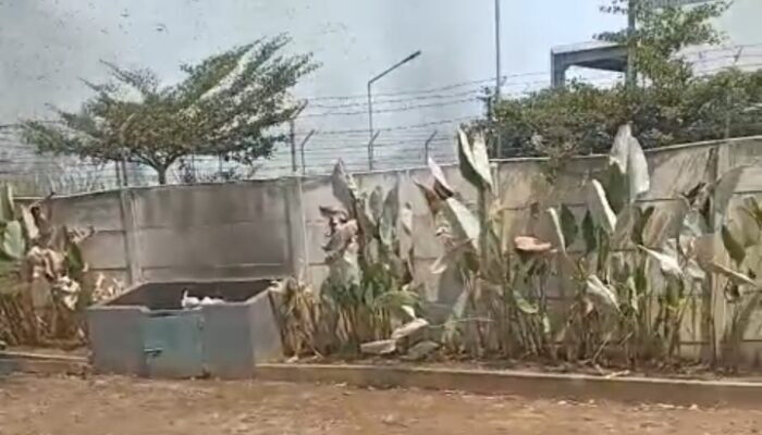 Lahan Kosong 10 Hektare di Jabung Terbakar, Damkar Kabupaten Malang Bergerak Cepat