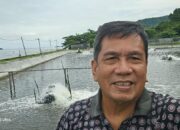 Pemerintah Diharapkan Ambil Peran Optimalisasi Udang Lokal Sebagai Instrumen Ekonomi Indonesia